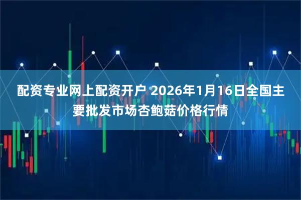 配资专业网上配资开户 2026年1月16日全国主要批发市场杏鲍菇价格行情