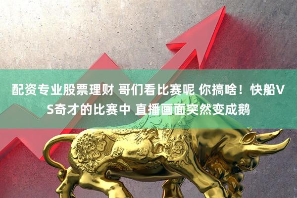 配资专业股票理财 哥们看比赛呢 你搞啥！快船VS奇才的比赛中 直播画面突然变成鹅